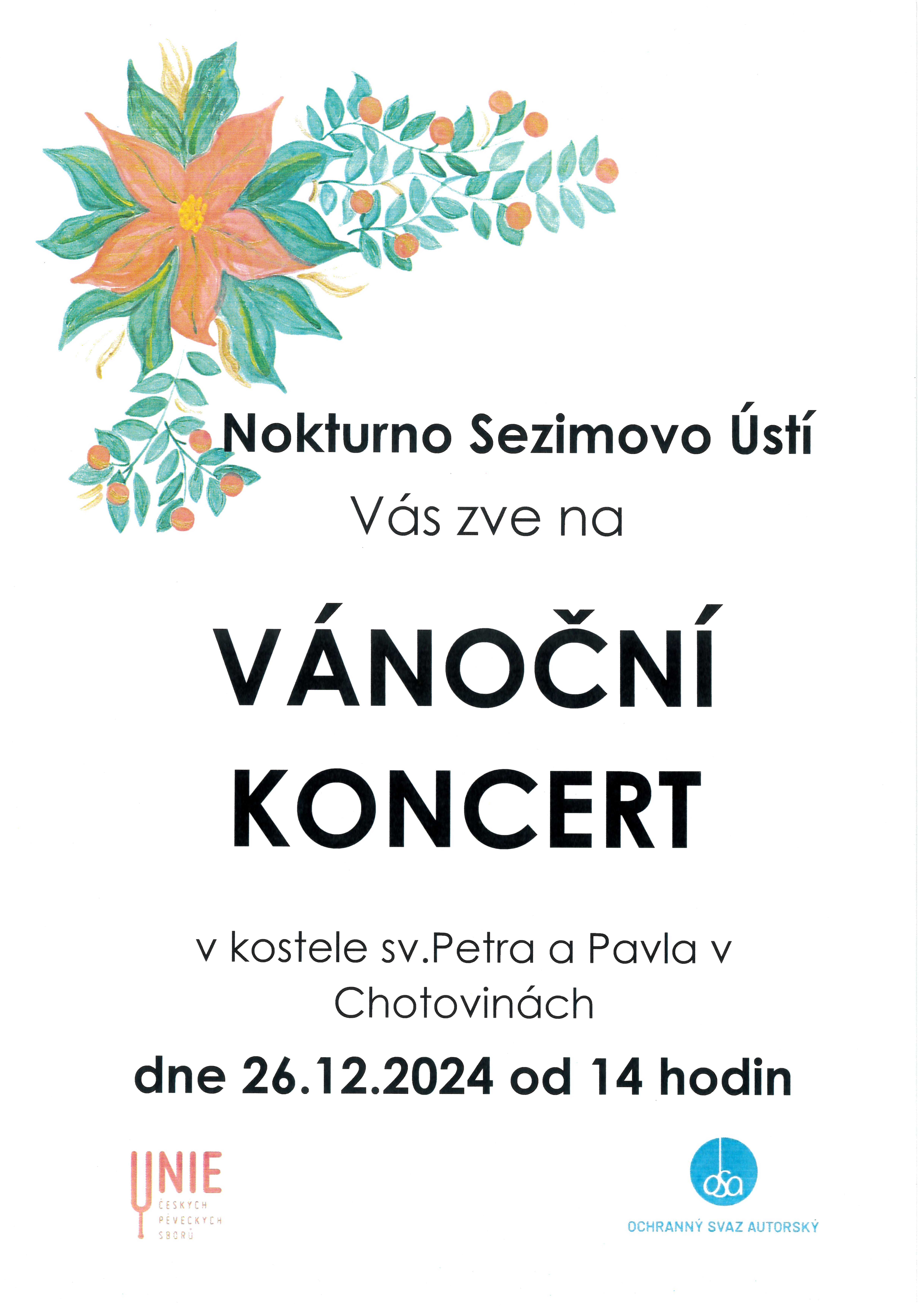 Vánoční koncert